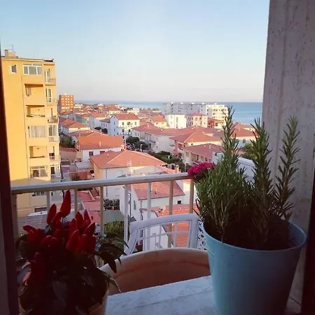 Apartment Blumare